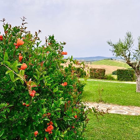Agriturismo Caliano Asciano Kültér fotó