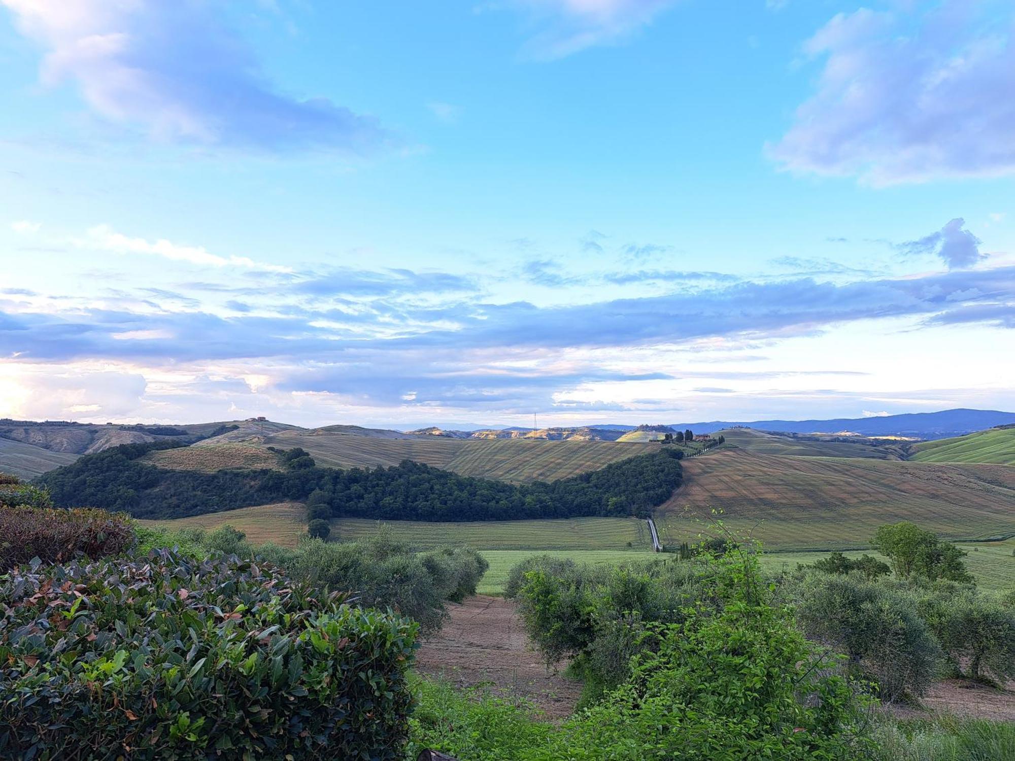 Agriturismo Caliano Asciano Kültér fotó