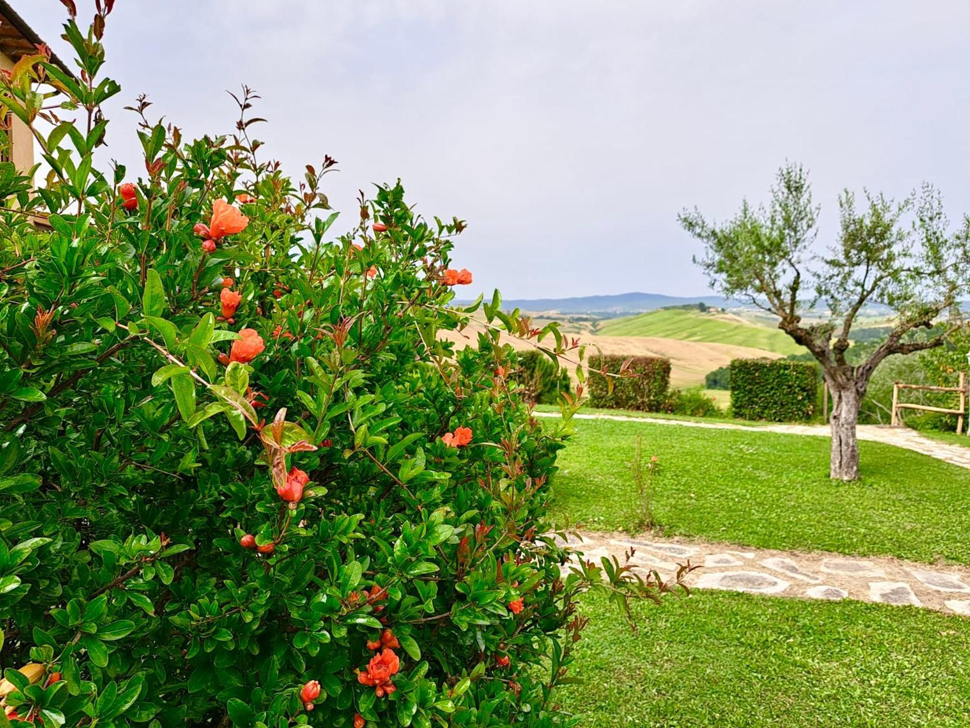 Agriturismo Caliano Asciano Kültér fotó