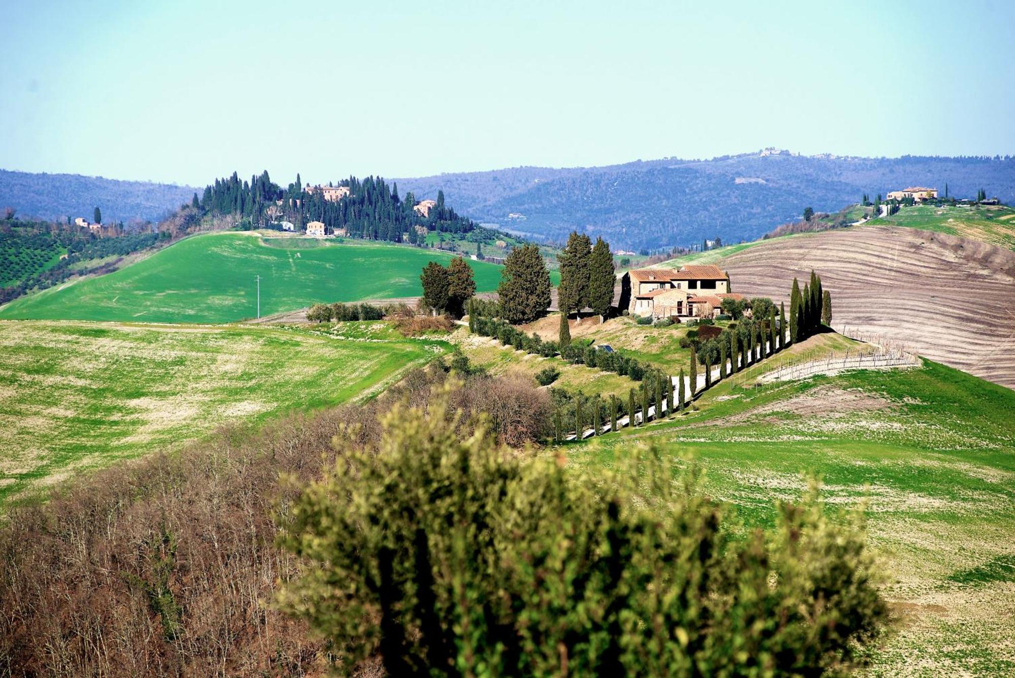 Agriturismo Caliano Asciano Kültér fotó