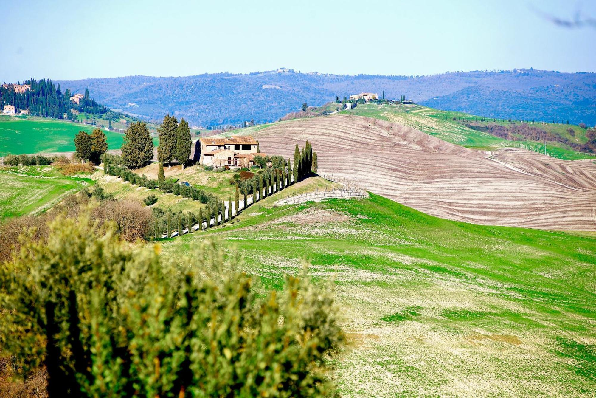 Agriturismo Caliano Asciano Kültér fotó