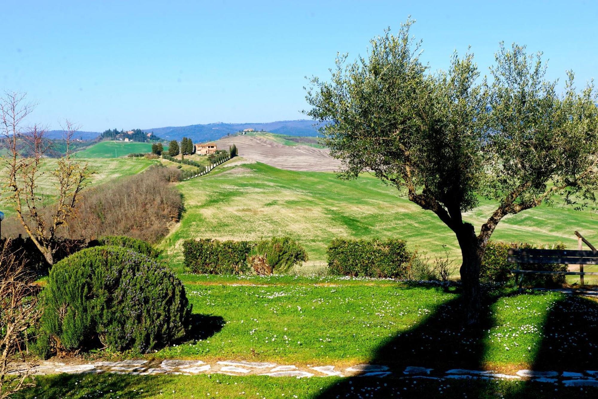 Agriturismo Caliano Asciano Kültér fotó
